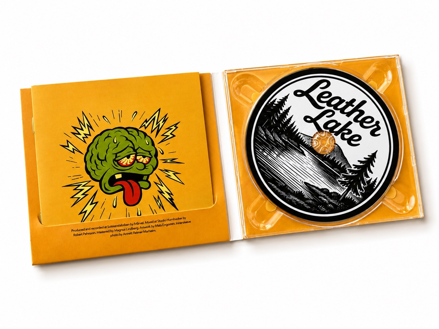 Brain Drain Diaries - CD